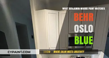 Benjamin Moore Paint Alternatives to Behr Oslo Blue: Perfect Matches