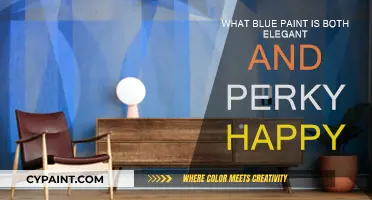 Blue Paint: Perky and Elegant Shades