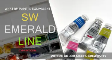 BM Paint: SW Emerald Line Equivalent