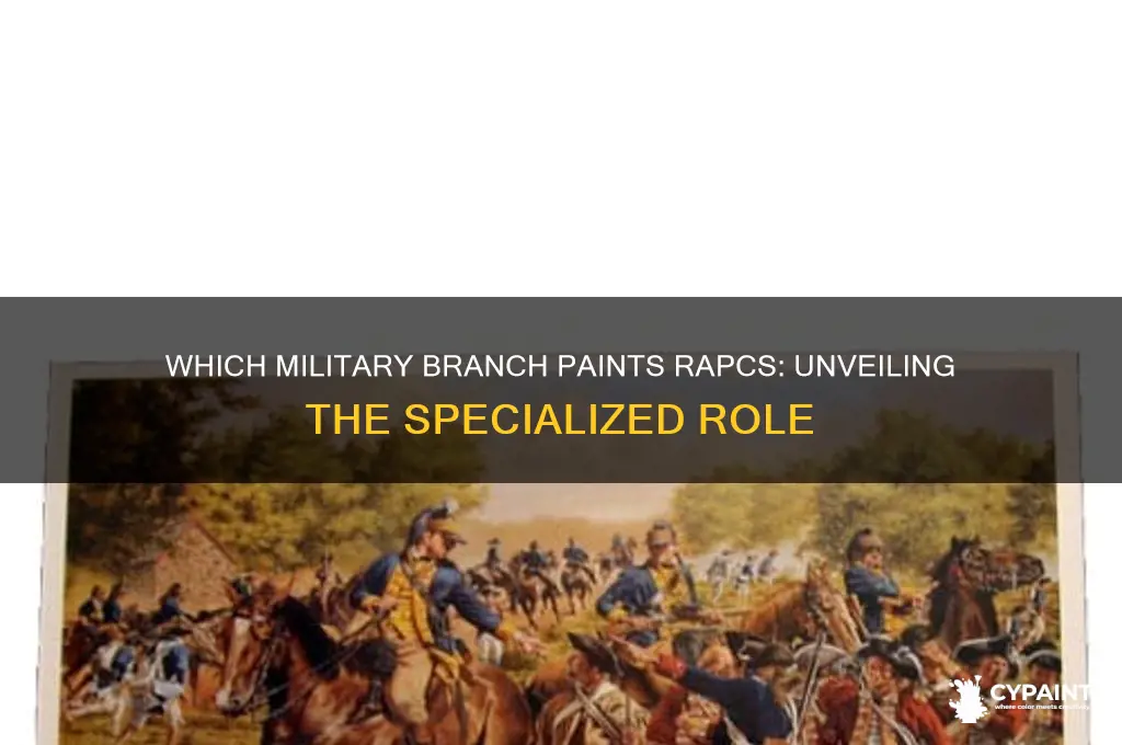 what branch of the military paints rapcs page