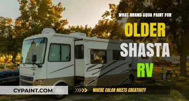 Revive Your Vintage Shasta RV: Best Aqua Paint Brands for Restoration