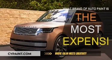 Luxury Auto Paint: Most Expensive Brands Revealed