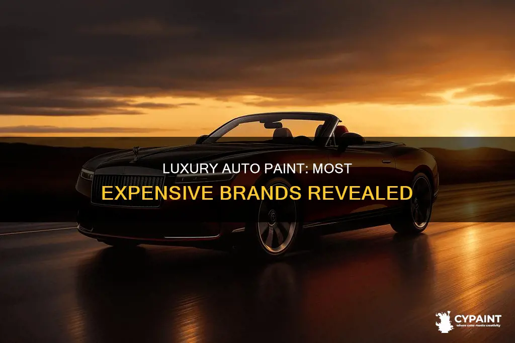 what brand of auto paint is the most expensive
