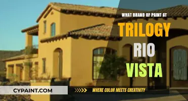 Discover the Best Paint Brand at Trilogy Rio Vista