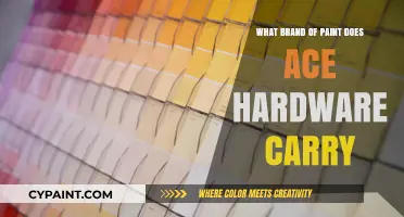 Ace Hardware's Top Paint Brands: A Comprehensive Guide for Homeowners