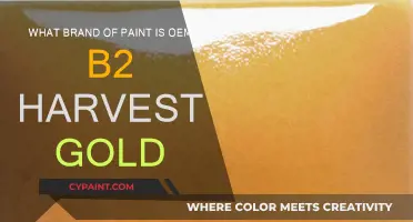 Harvest Gold Paint: Which Brand is OEM B2?