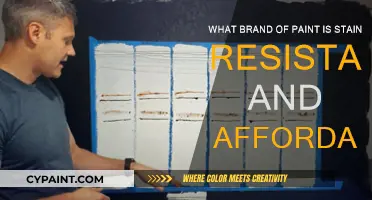 Best Stain-Resistant Paint: Affordable Brands