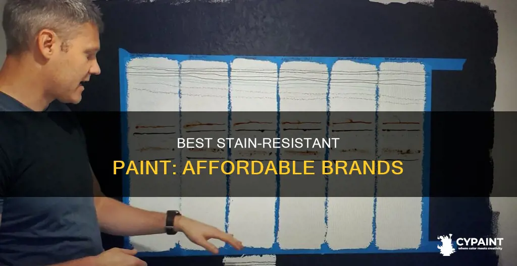 what brand of paint is stain resistant and affordable