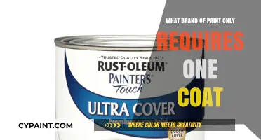 Revolutionary One-Coat Paint Brands: Save Time and Effort with These Top Picks