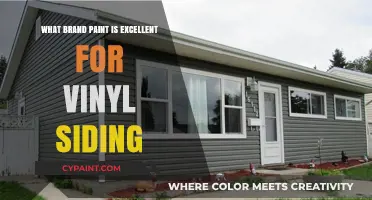Top Brand Paint Recommendations for Durable Vinyl Siding Makeovers