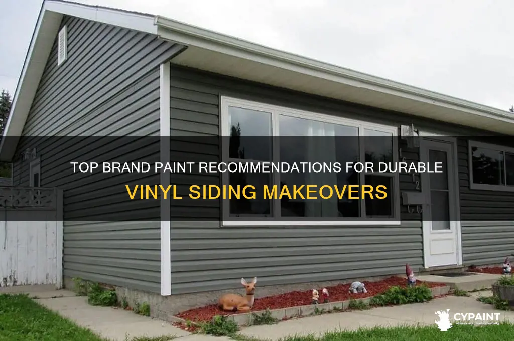 what brand paint is excellent for vinyl siding