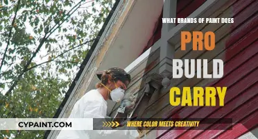 Pro Build's Paint Selection: Top Brands for Your Next Project