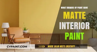 Top Matte Interior Paint Brands for a Modern Home Look