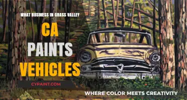 Grass Valley CA's Top Vehicle Painting Business: Expert Auto Customization