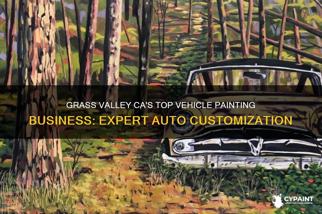 what business in grass valley ca paints vehicles