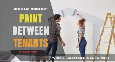 California Landlord Painting Requirements: What's Mandatory Between Tenants?