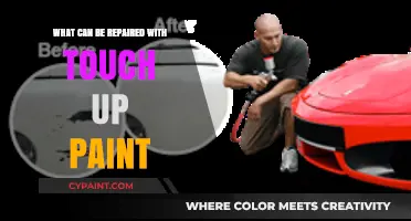 Revive and Restore: Surprising Items Touch-Up Paint Can Fix