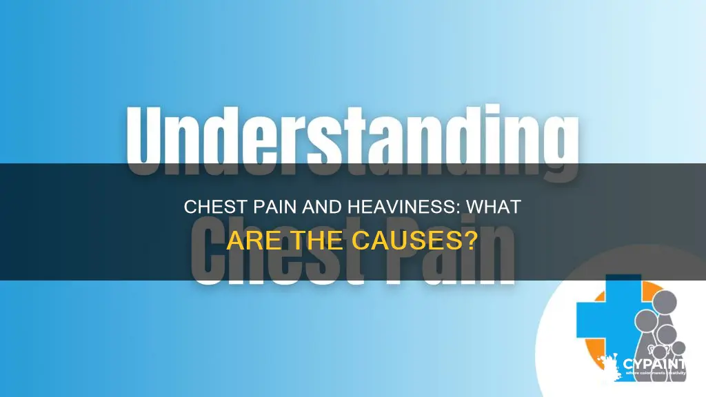 what can cause paint and heaviness in your chest