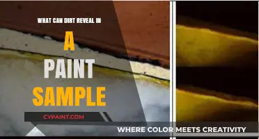 Unveiling Secrets: How Dirt in Paint Samples Tells a Story