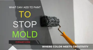 Effective Additives for Anti-Mold Paint: Solutions and Tips