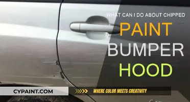 Repairing Chipped Paint on Your Car's Bumper and Hood