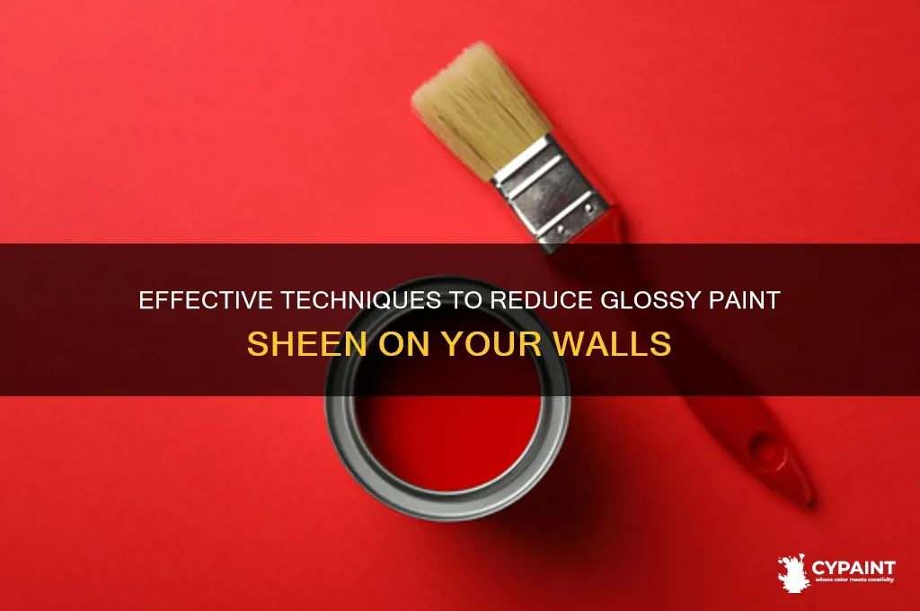 what can i do to lessen glossy painting