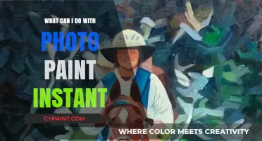 Unlock Creative Possibilities: Exploring Photo Paint Instant's Versatile Features