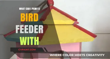 Safe and Vibrant Paints to Decorate Your Bird Feeder