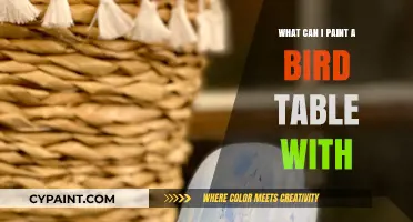 Best Bird Table Paint Options: Safe, Durable, and Weather-Resistant Choices