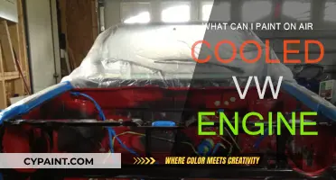 Customizing Your Air-Cooled VW Engine with Paint
