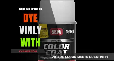 Creative Vinyl Makeover: Best Paints and Dyes for Transforming Vinyl Surfaces