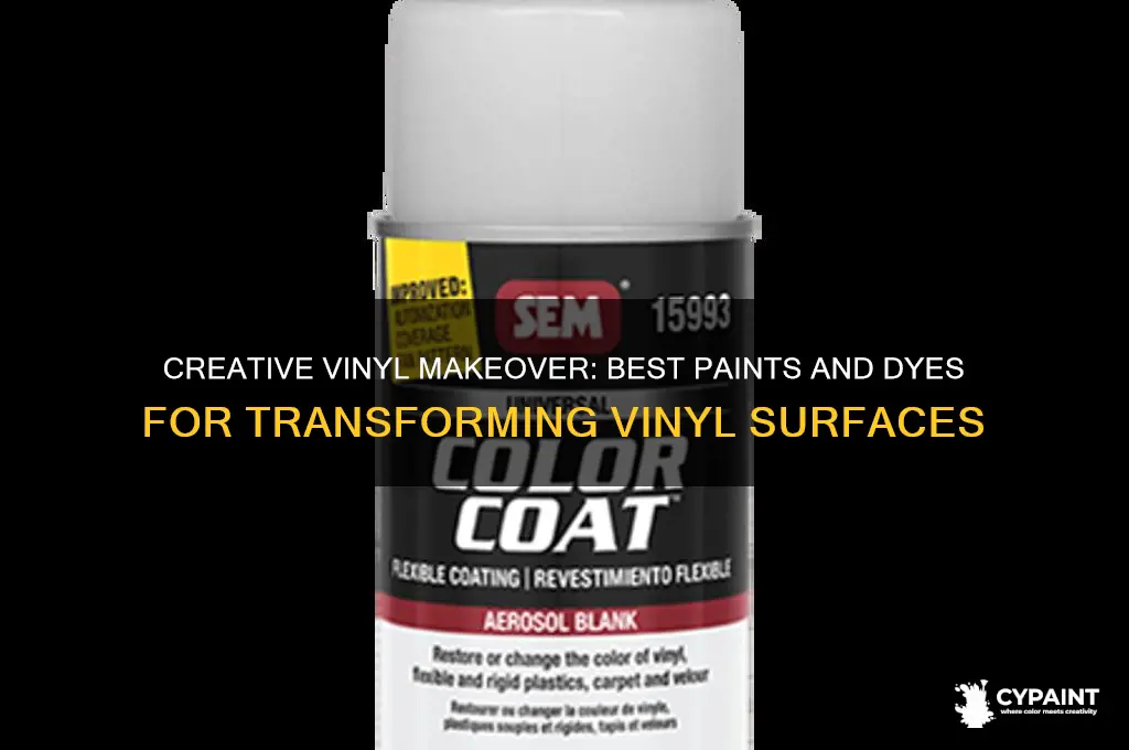 what can i paint or dye vinly with