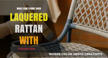 Painting Over Lacquered Rattan: Best Paints and Techniques for a Fresh Look