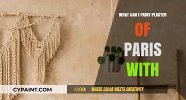 Creative Painting Ideas for Plaster of Paris Crafts and Projects