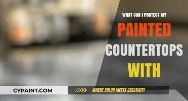 Protecting Painted Countertops: Top Sealants and Tips for Long-Lasting Shine