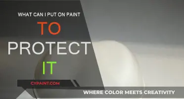 Protect Your Paint: Use a Top Coat