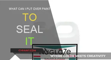 Sealing Paint Jobs: Best Protective Coatings for Your Project
