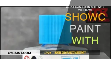 Showcase Paint Thinning: Sherwin-Williams Tips and Tricks