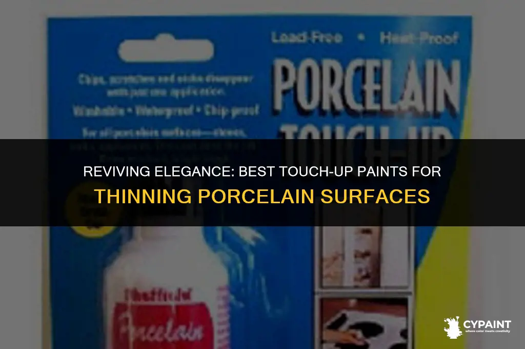 what can i user to thin porcelain touch up paint