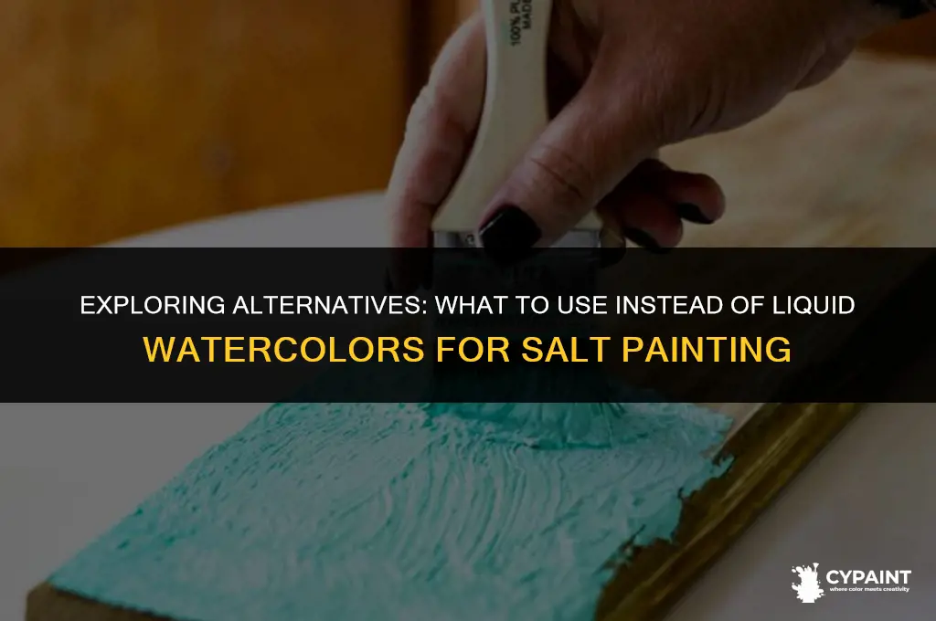 what can inuse instead of liquid watecolors for salt painting