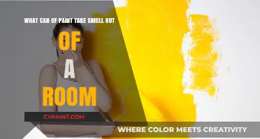 Freshen Up Your Space: The Best Paints for Eliminating Odors