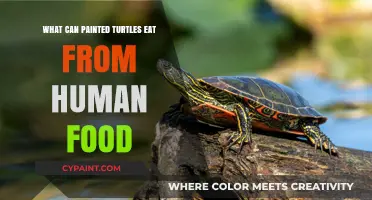 Safe Human Foods for Painted Turtles: A Healthy Diet Guide