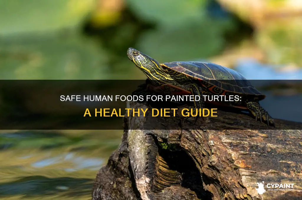what can painted turtles eat from human food