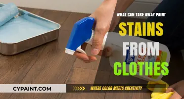 Effective Ways to Remove Paint Stains from Clothes Easily