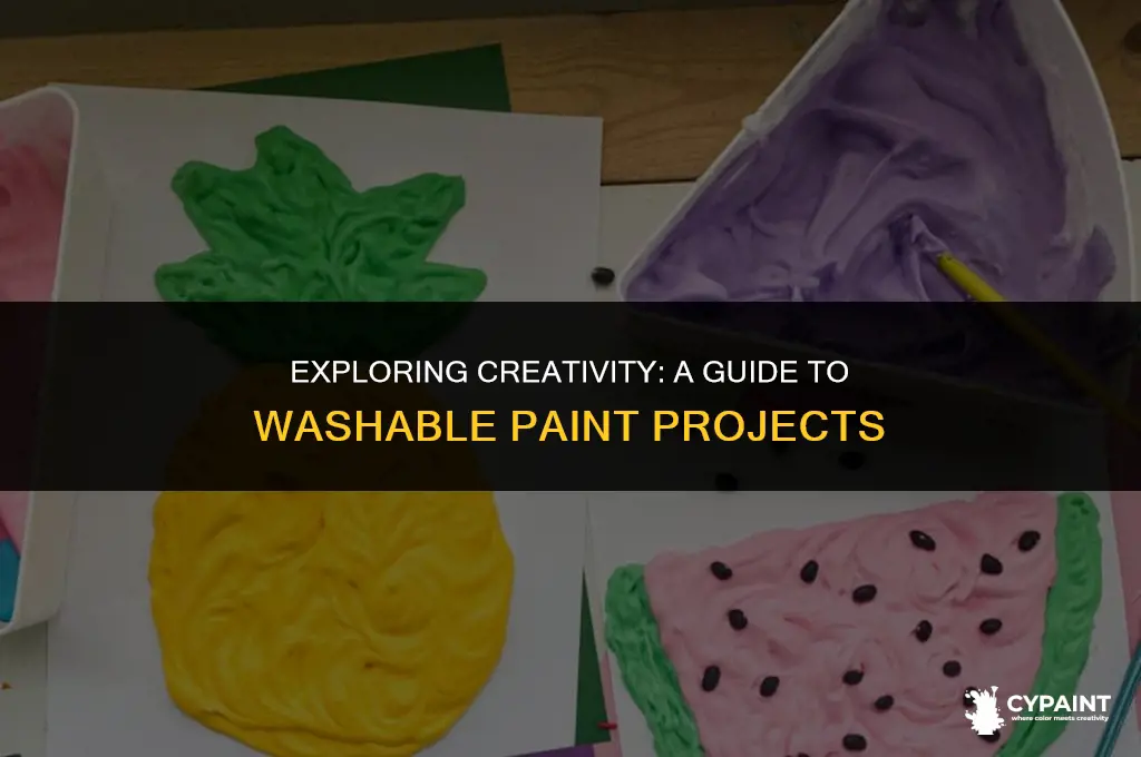 what can u paint with washable paint list the things