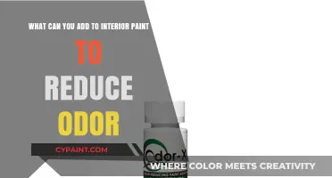 Freshen Up Your Space: Secrets to Odor-Free Interior Paint