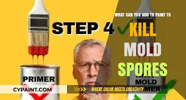 Effective Mold-Killing Additives for Paint: A Comprehensive Guide