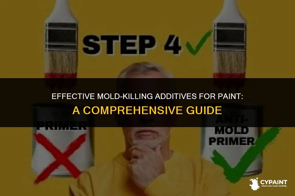 what can you add to paint to kill mold spores