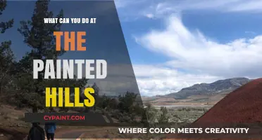 Exploring the Painted Hills: Activities, Trails, and Stunning Views