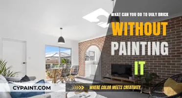 Revamping Ugly Brick: Creative Solutions Beyond Paint